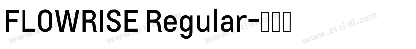 FLOWRISE Regular字体转换